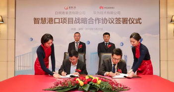 日照企業創奇跡 90天吞吐億噸，信息服務助力利潤突破4億